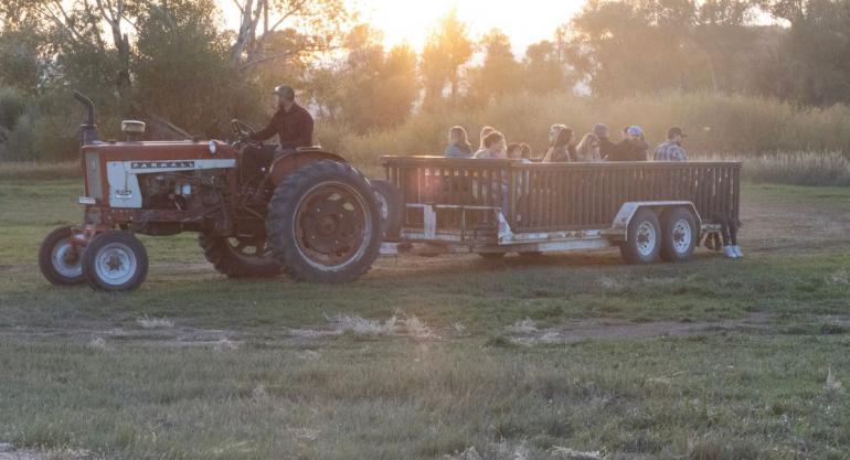 Tractor ride