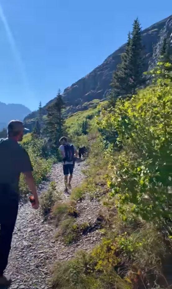 Bear on Trail 