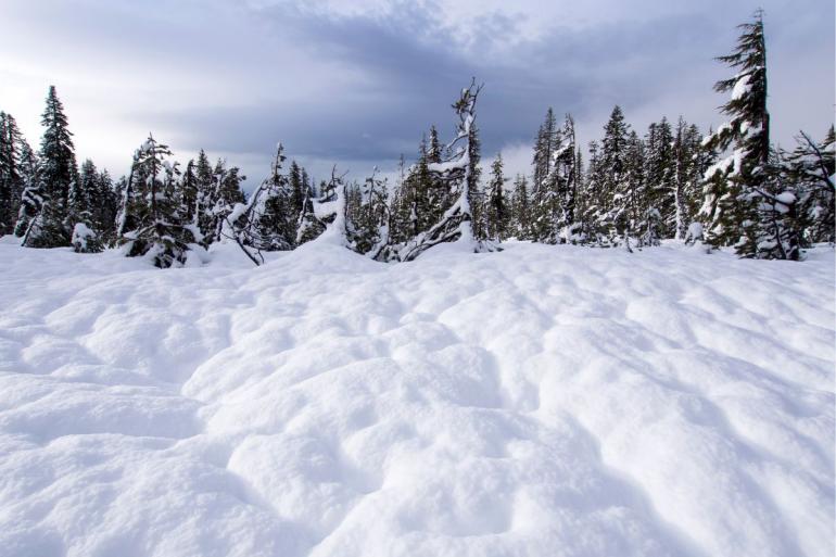 snow