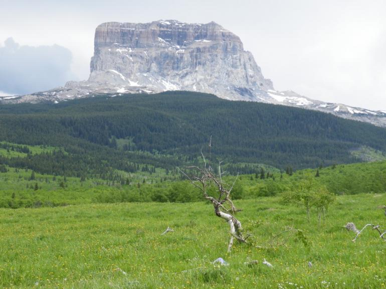 Chief Mountain