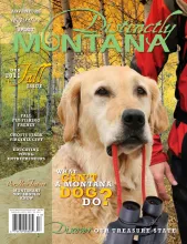 Distinctly Montana Fall 2011 cover