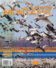 Distinctly Montana Spring 2015 cover