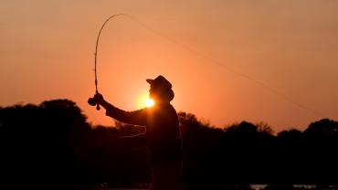 Fly Fisherman 