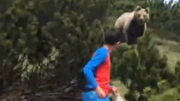 12-year-old stalked by gigantic grizzly bear
