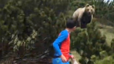 12-year-old stalked by gigantic grizzly bear