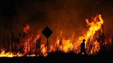 Fore Fire with Firefighter in foreground