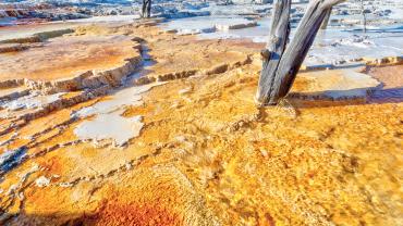 View of Canary Spring, Mammoth Hot Springs