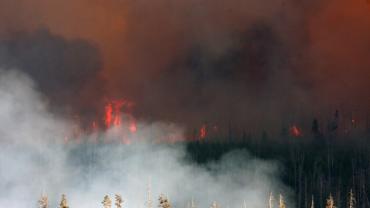 Forest Fire At Yellowstone