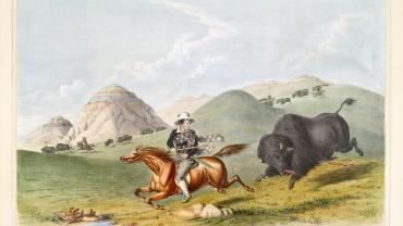 Man trying to escape buffalo, Gatlin
