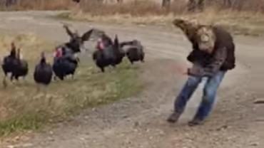 Man running from turkeys