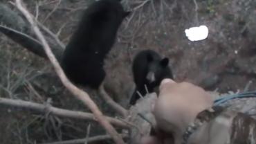 Hunter aiming bear spray at bears