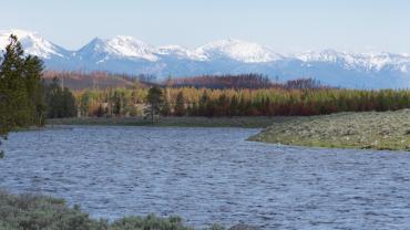 Madison River