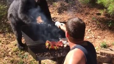 Barbecue battle with bear