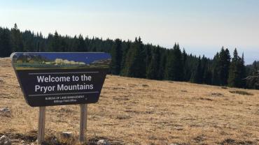 Pryor Mountains