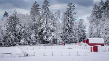 Snowy farm