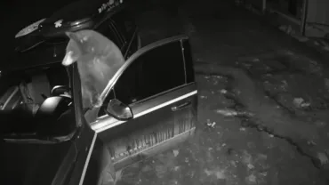 Big Sky Bear opens car door