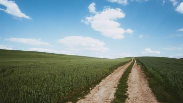 Dirt road through field