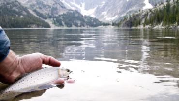 Fishing on the beartooth