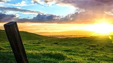Fence sunset