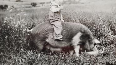 Foster Tusler riding a future ham