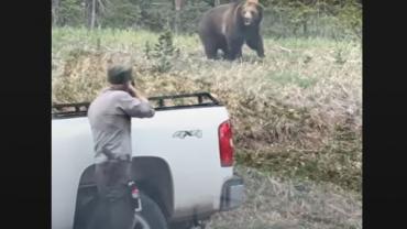 Mammoth Bear Charge 