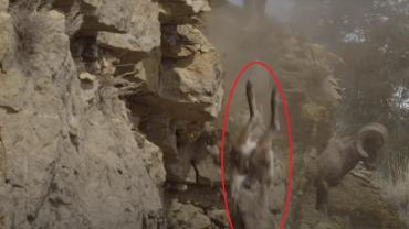 Goat falling off of cliff