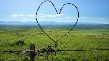 Country heart