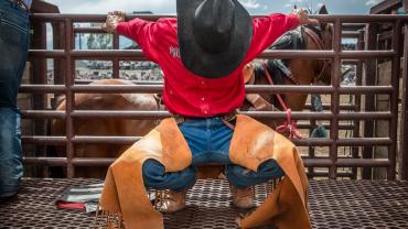 Bucking Horse Photo