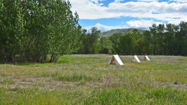 Campsite tents