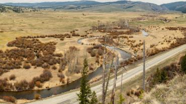 View of the Great Clearing today. (photo by Doug Stevens)