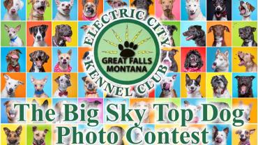 Big Sky Top Dog Photo Contest
