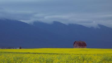 Montana Farm