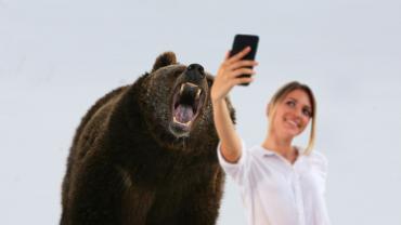 grizzly selfie