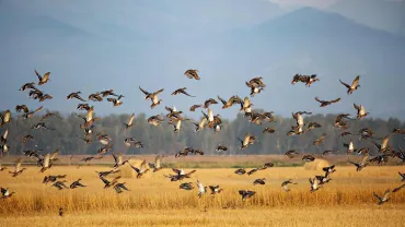 Teller Wildlife Refuge