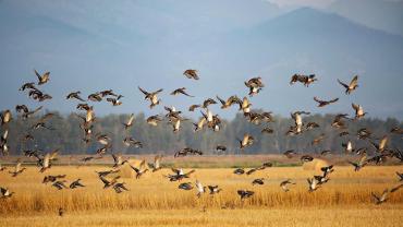 Teller Wildlife Refuge
