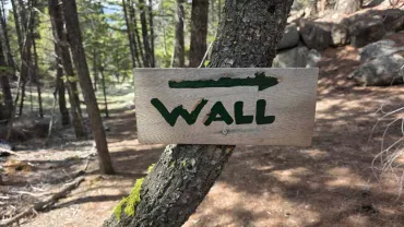 Sage wall