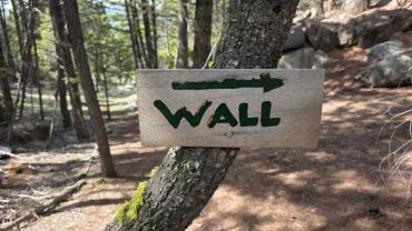 Sage wall