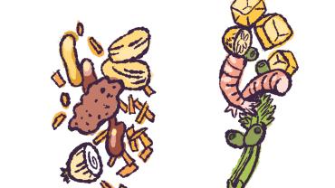 Recipes