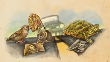 Turtles