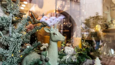 Christmas window display with a decorative reindeer and frosted pine