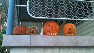 Halloween Party at the Oxen Yoke!, Hobson