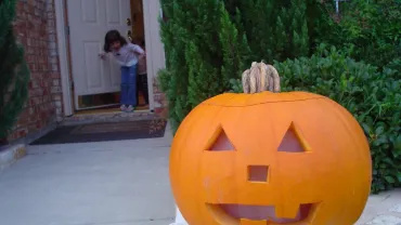 Boo BAsh, Trunk or Treat & Trail of Treats, Sidney