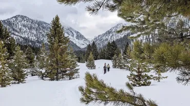 Refuge Point Snowshoe Hikes, West Yellowstone