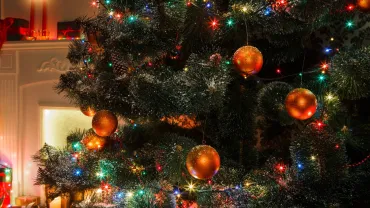 Tree Lighting and Christmas Stroll, Anaconda
