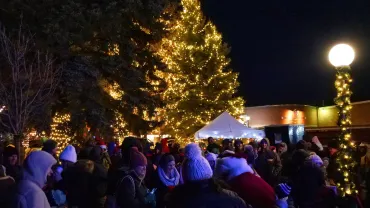 Light Up Livingston, Livingston