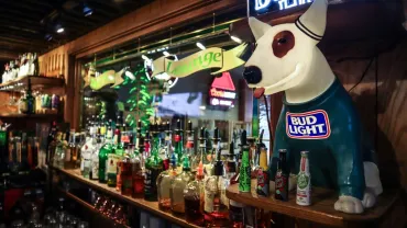 Halloween Party at Tall Pine, Bigfork