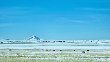 Montana Winter Fair, Lewistown