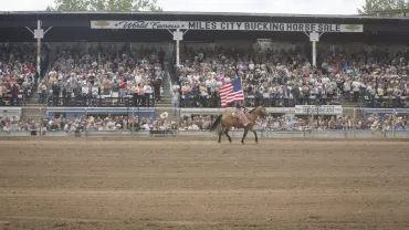 Miles City Bucking Horse Sale, Miles City
