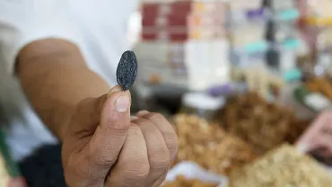 Close-up of a vendor demonstrating a large black raisin at a traditional market. Hand presenting dried fruit to customer