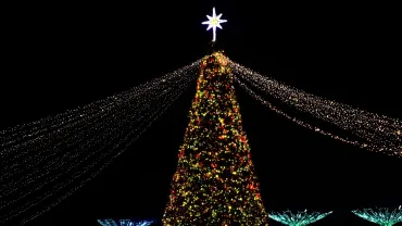Large lit Christmas tree in a town square